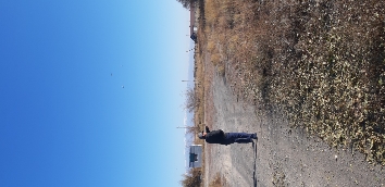 img-2