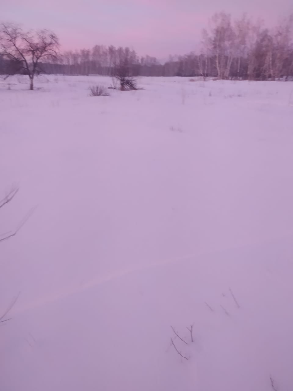 img-0