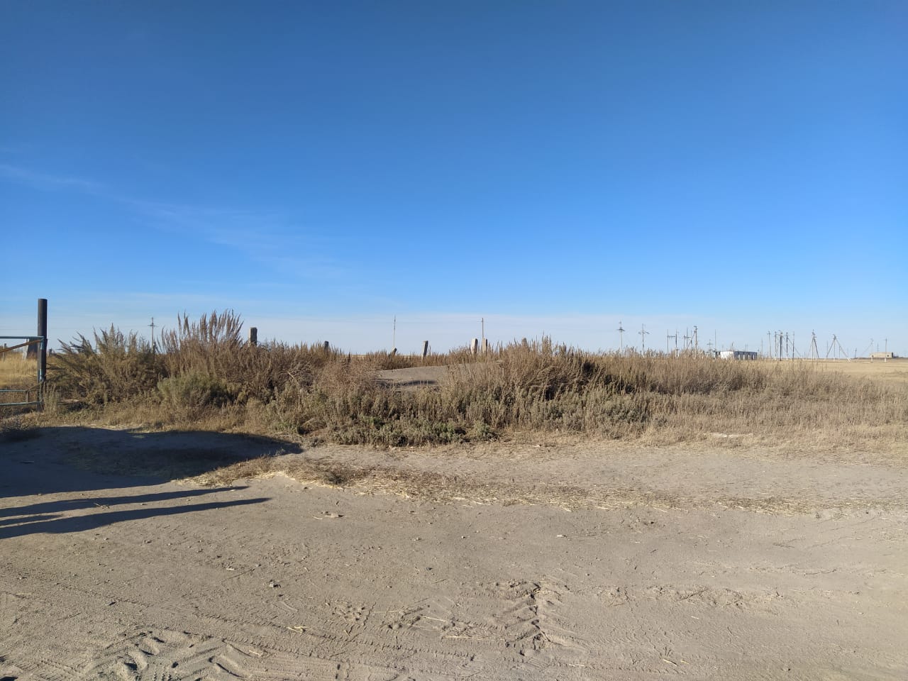 img-2