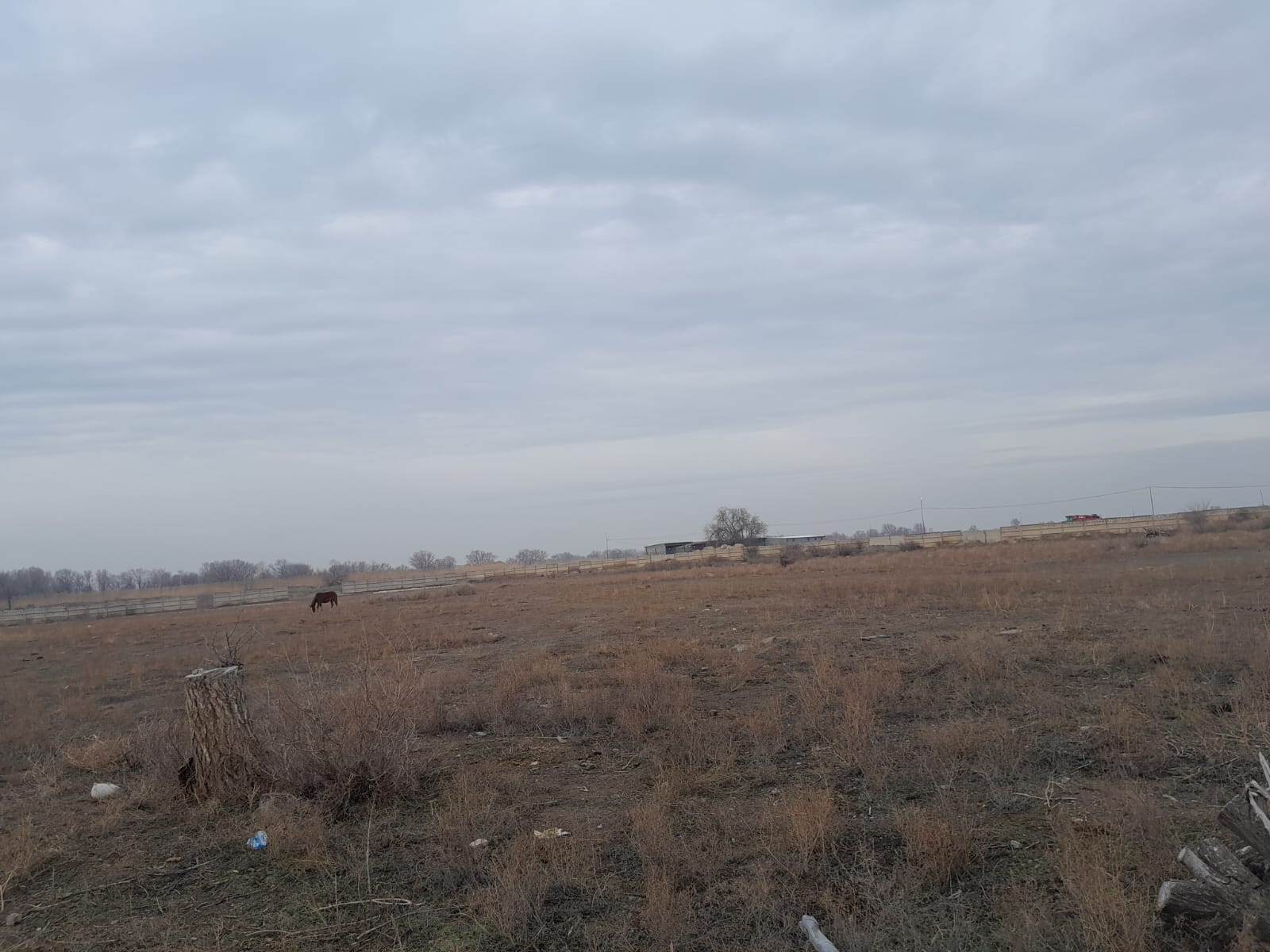 img-4