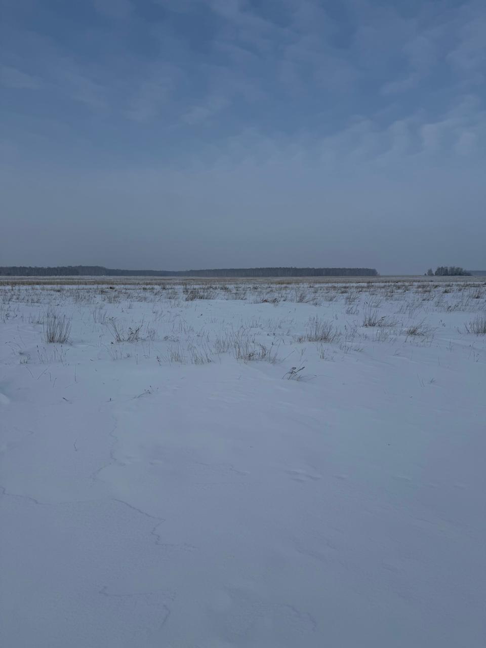 img-1