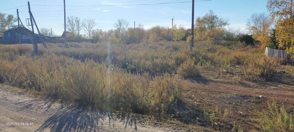 img-4