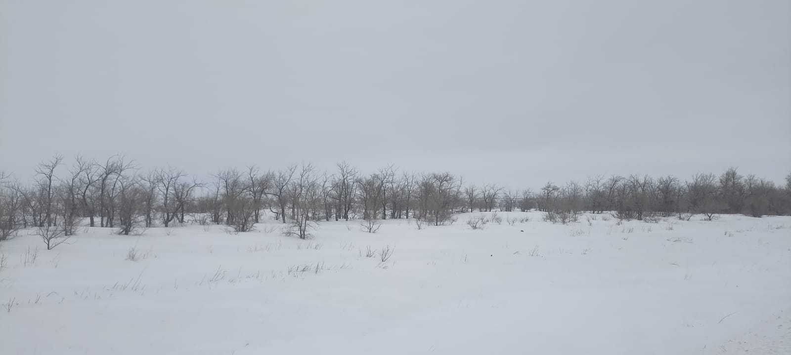 img-1