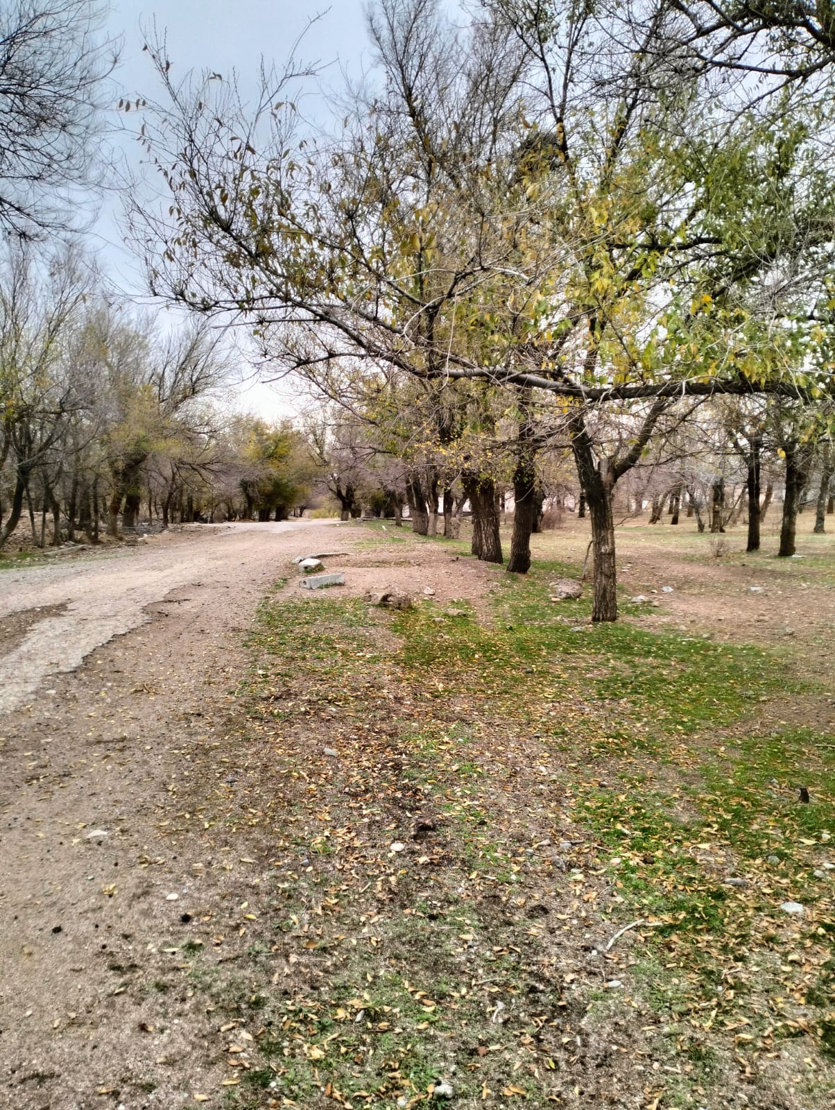 img-1