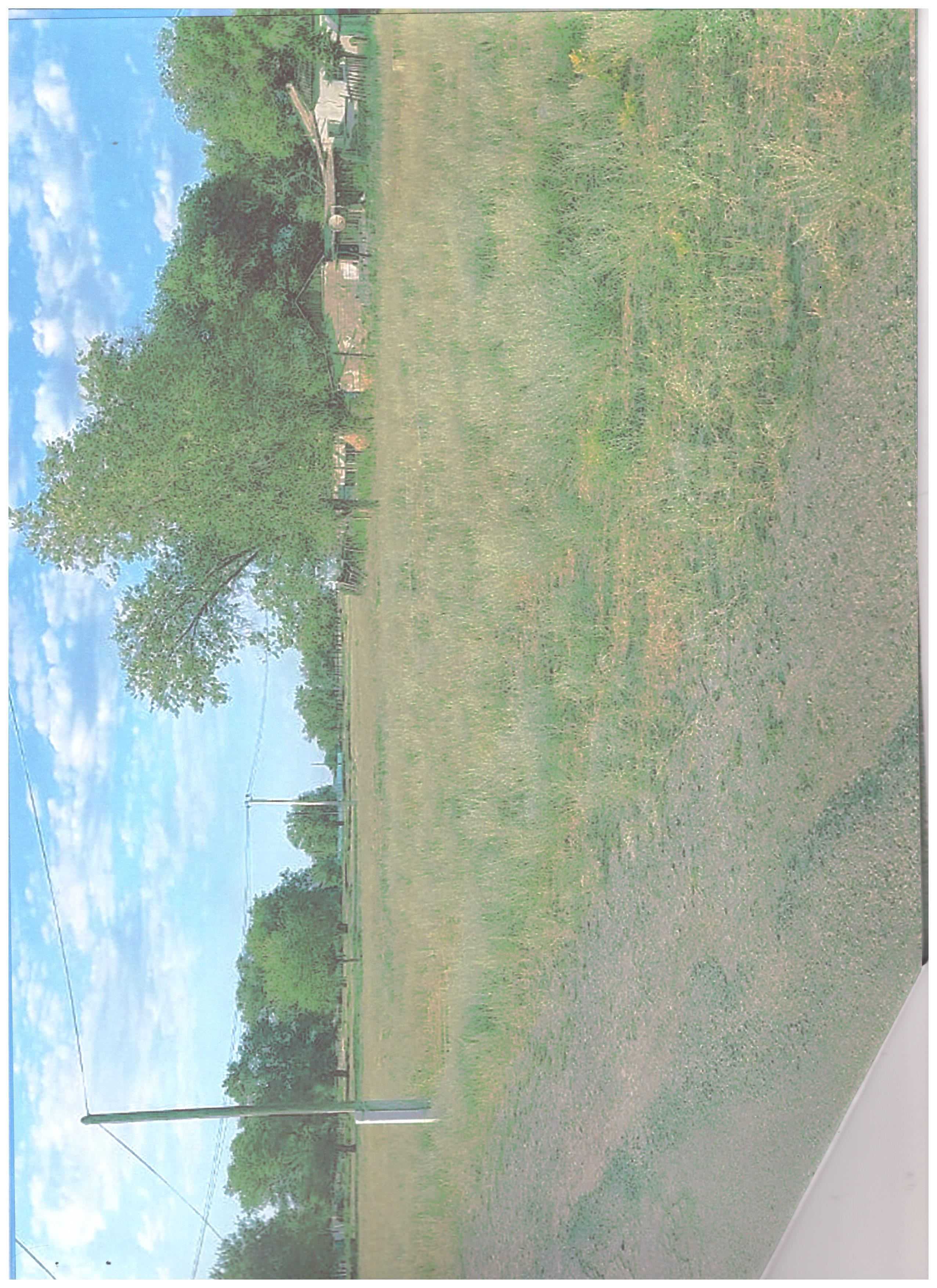 img-2