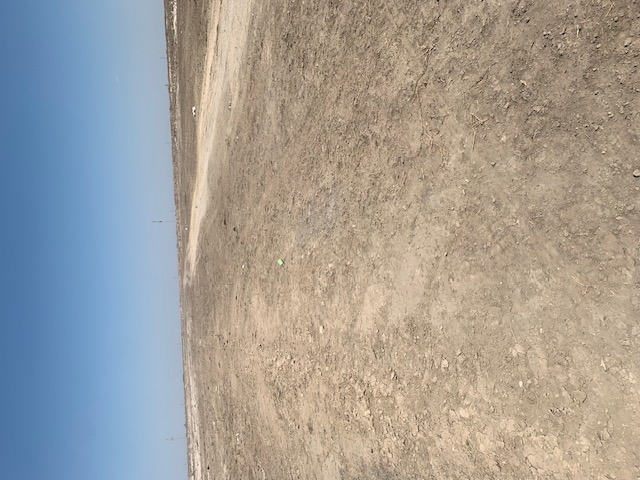 img-1