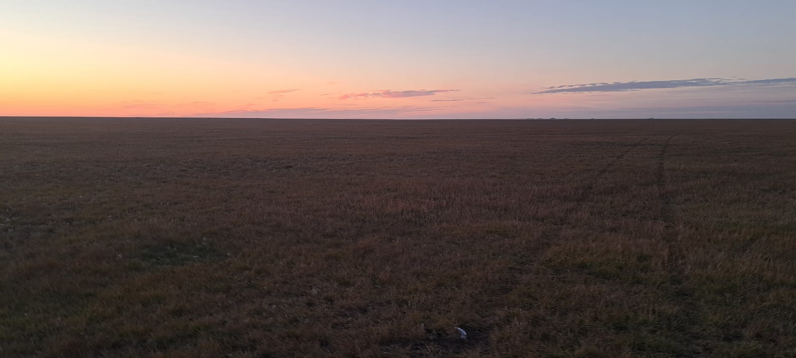 img-2