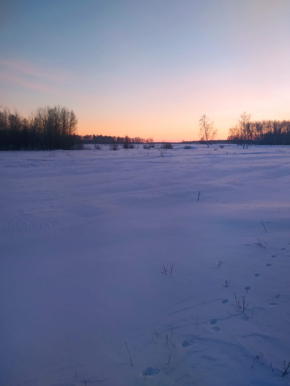 img-1