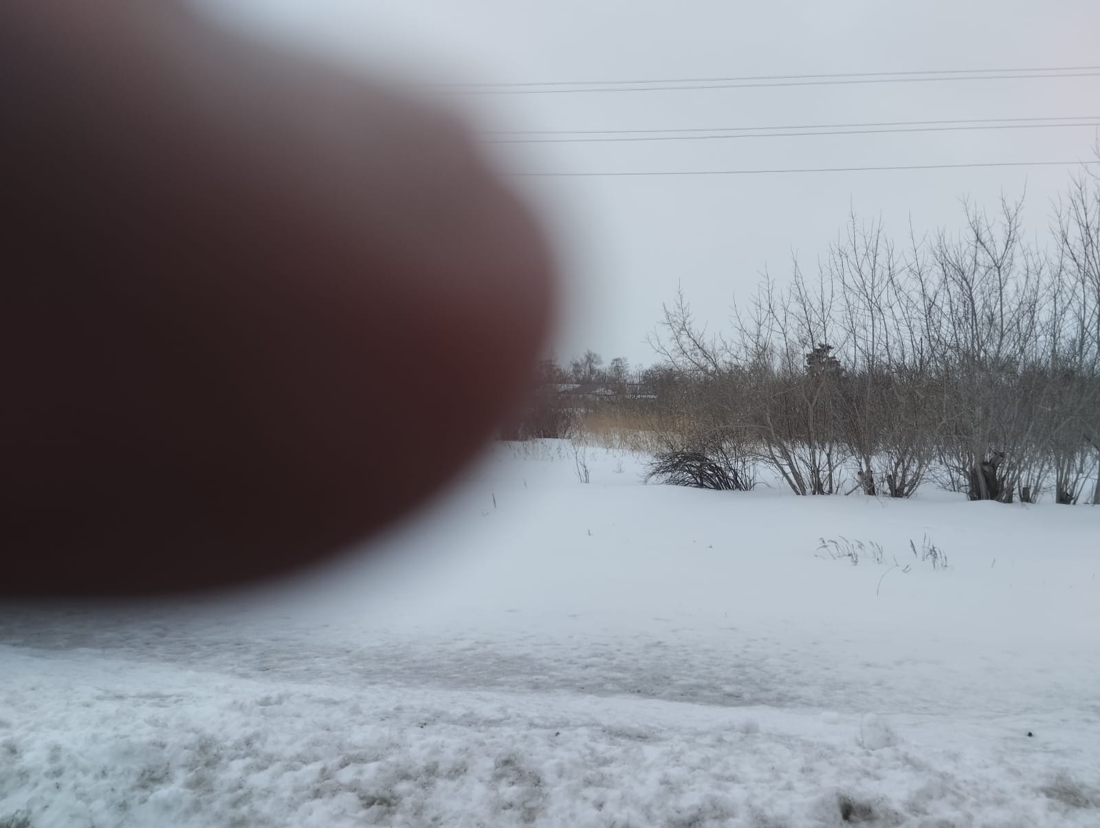 img-4