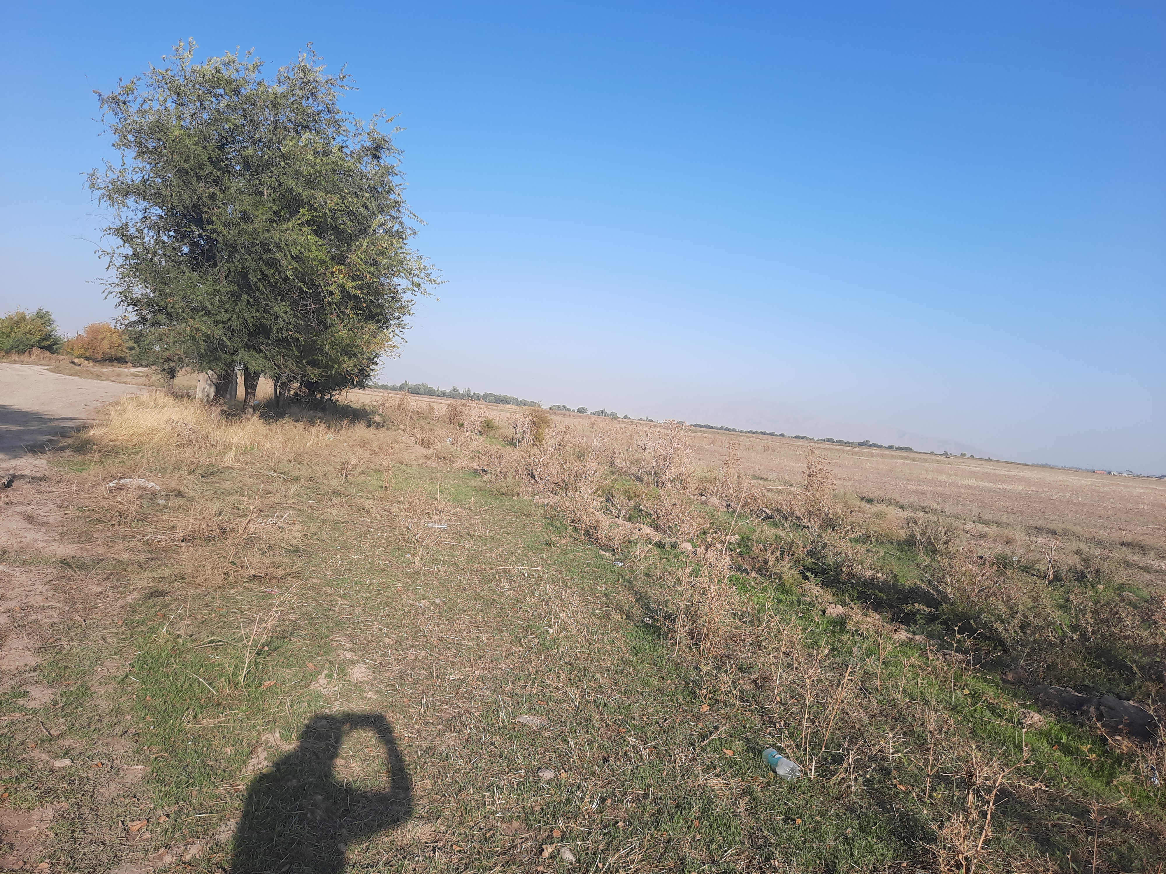 img-4