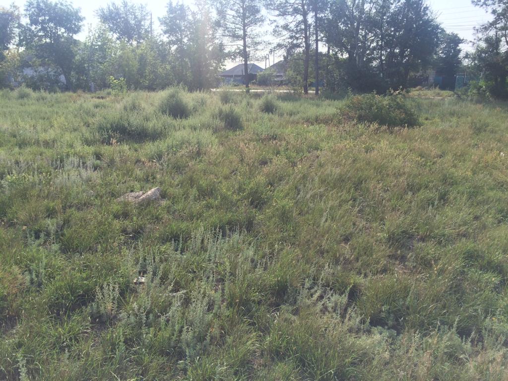 img-5