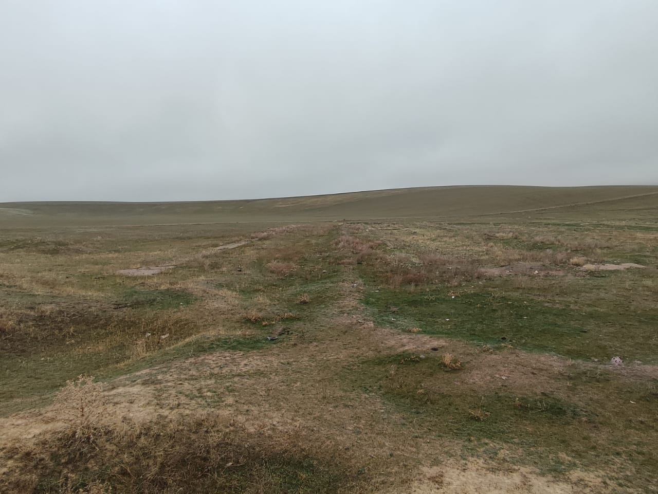img-1