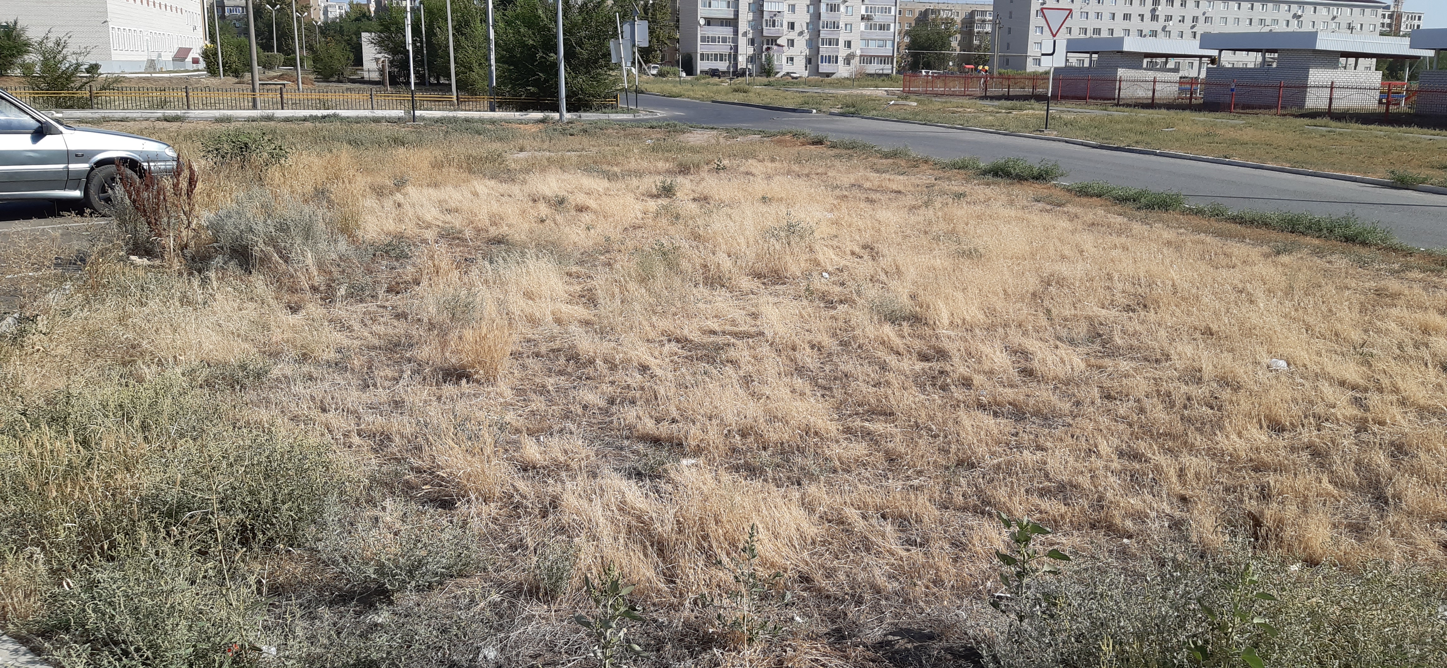 img-0