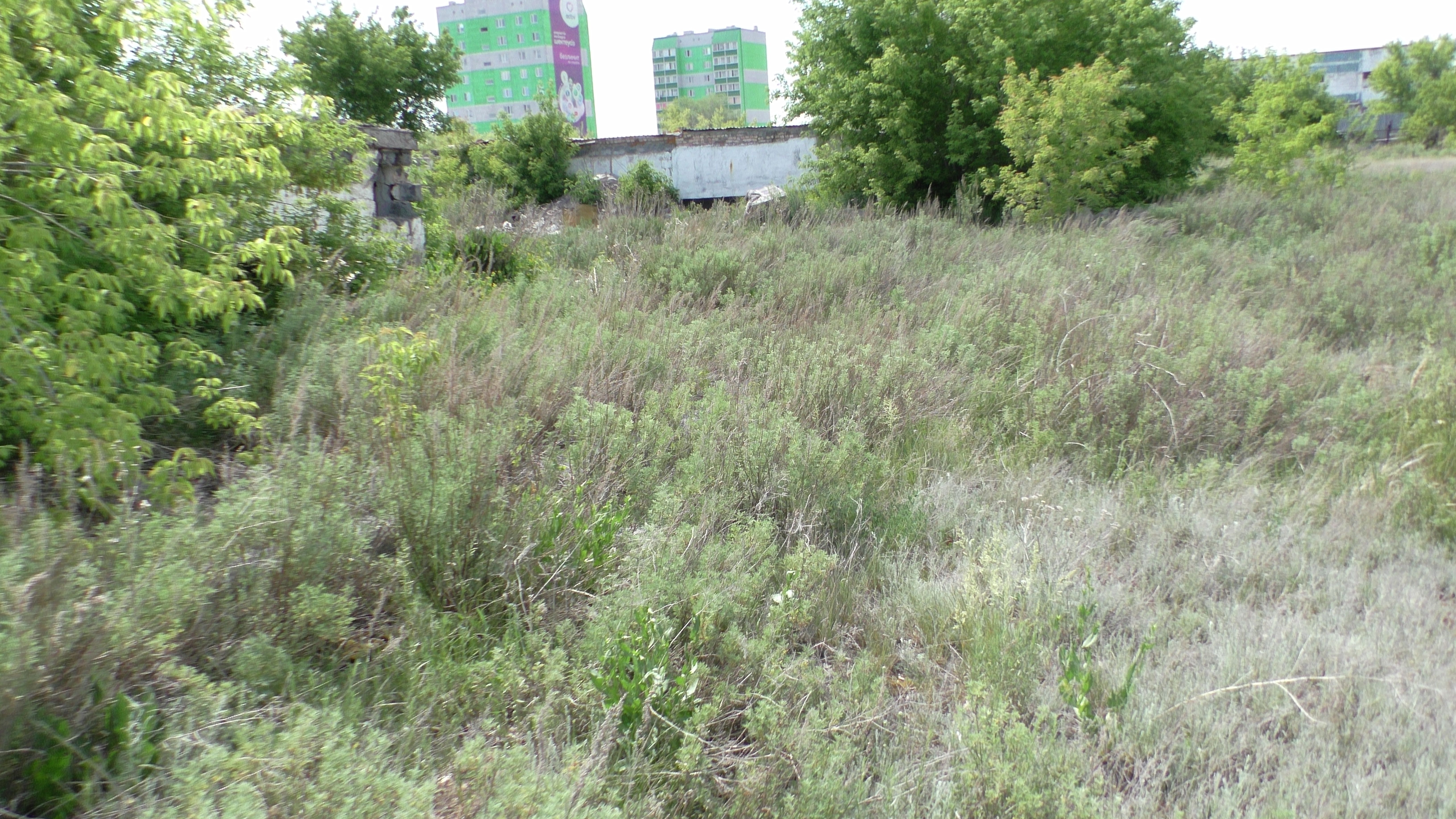 img-1