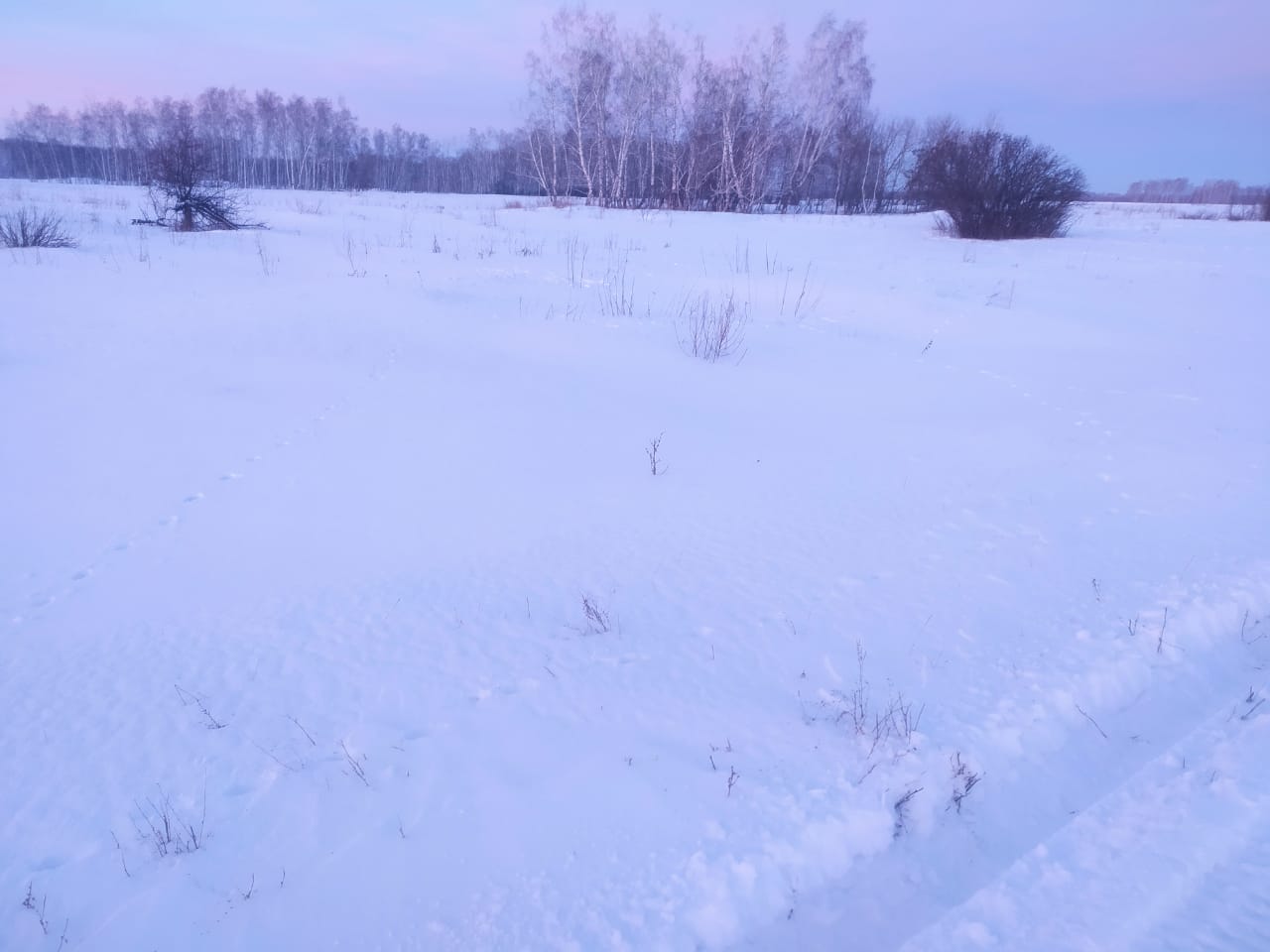 img-0