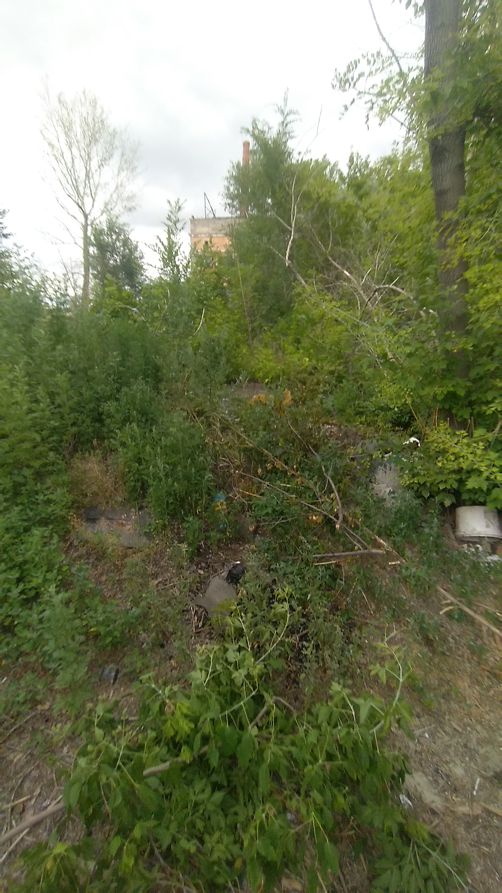 img-3