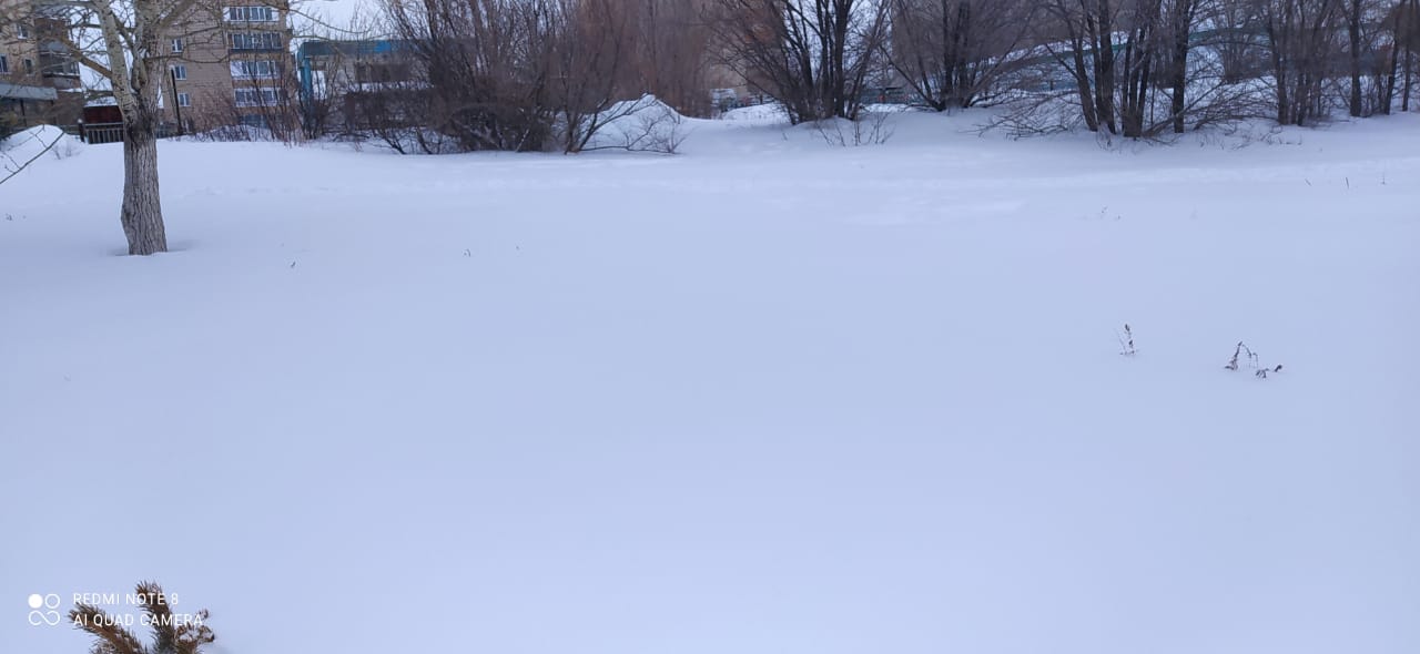 img-2