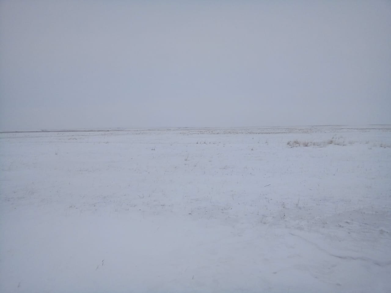 img-2