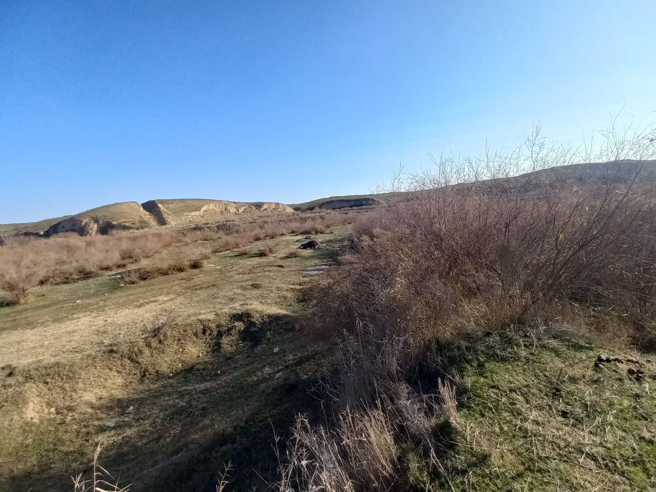 img-2