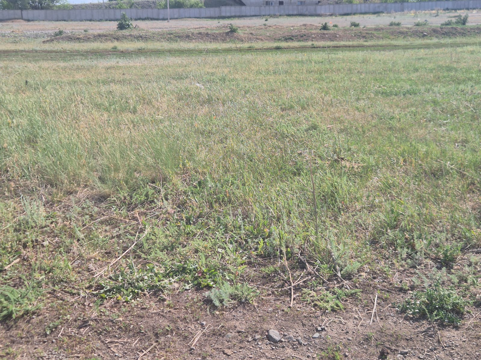 img-0