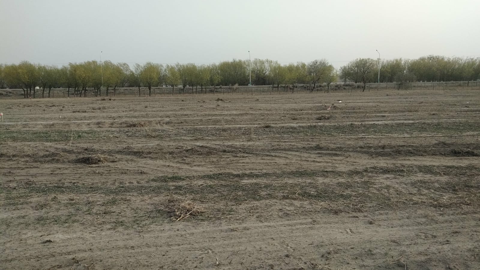 img-2