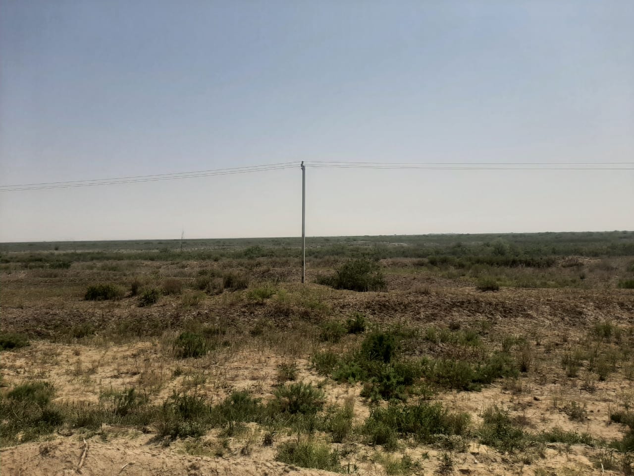 img-0