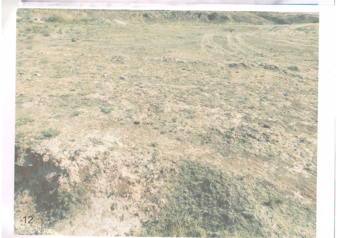 img-4