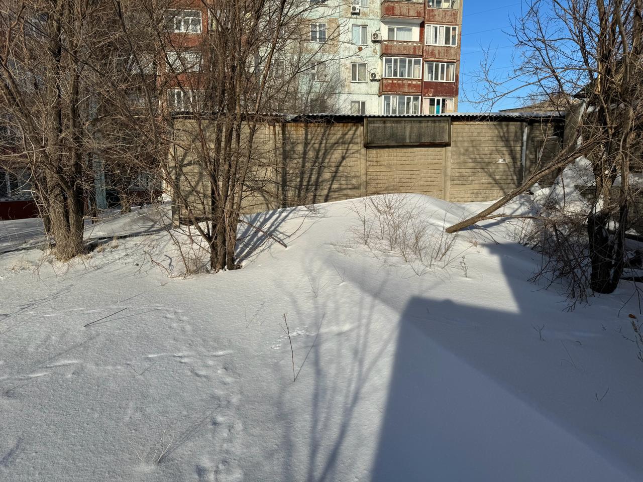 img-2