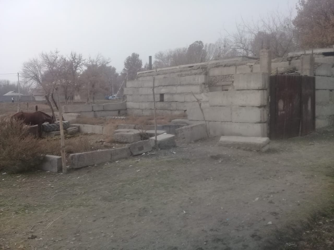 img-0