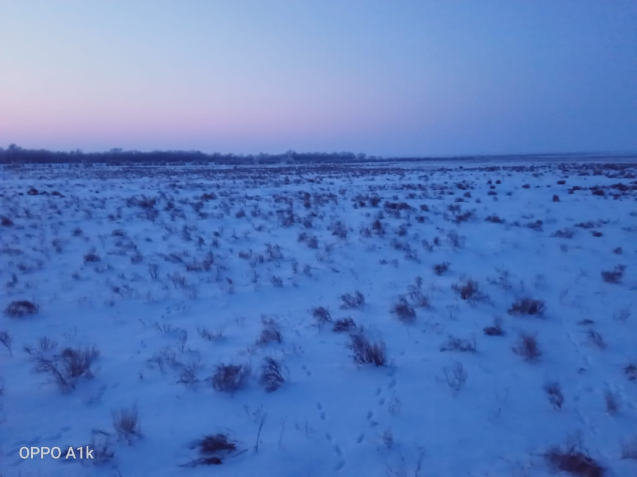 img-2