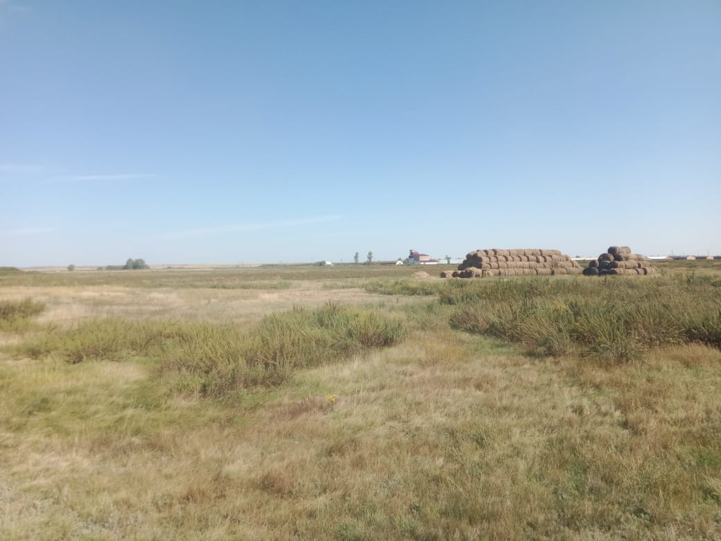 img-2