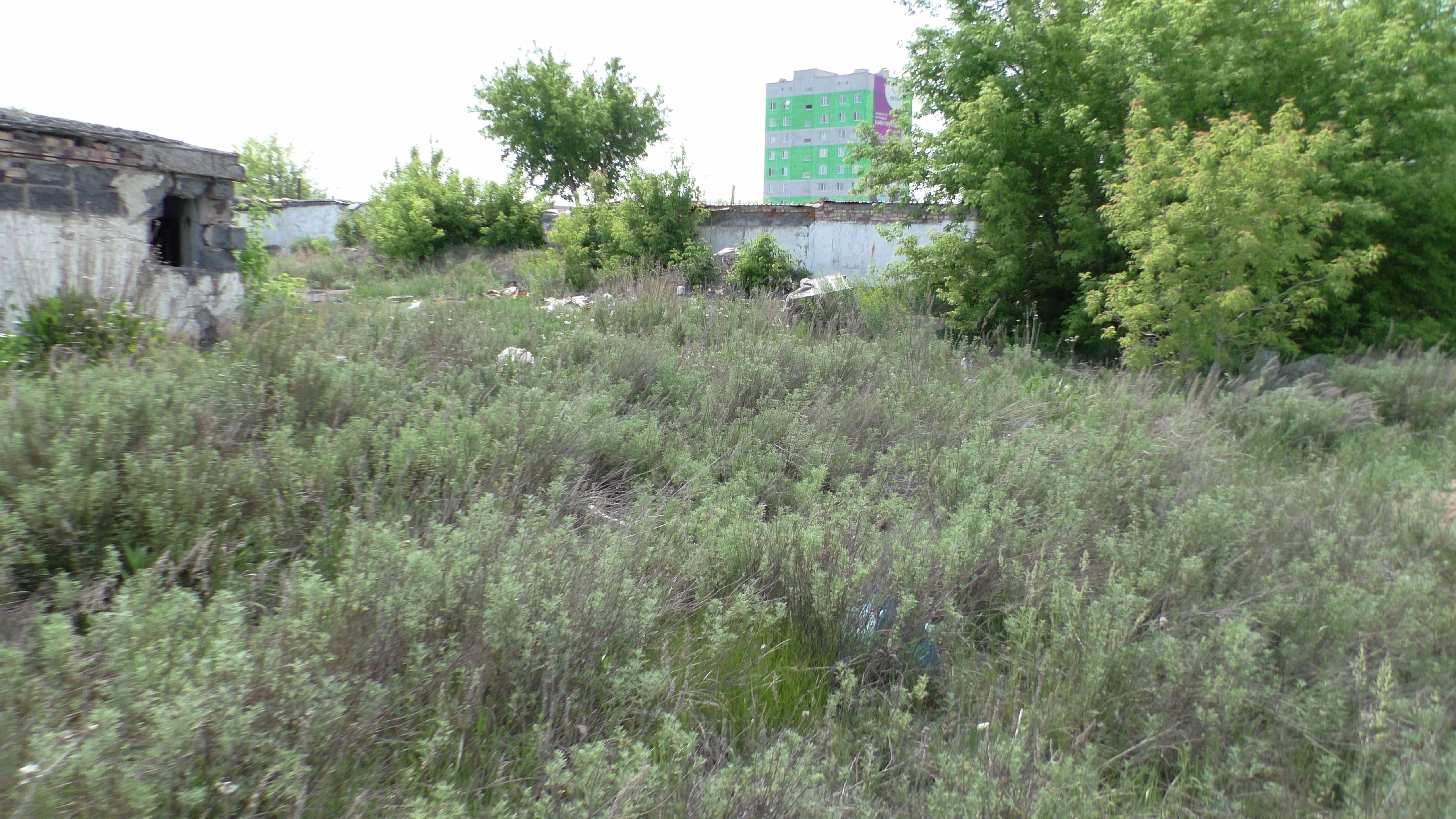 img-0