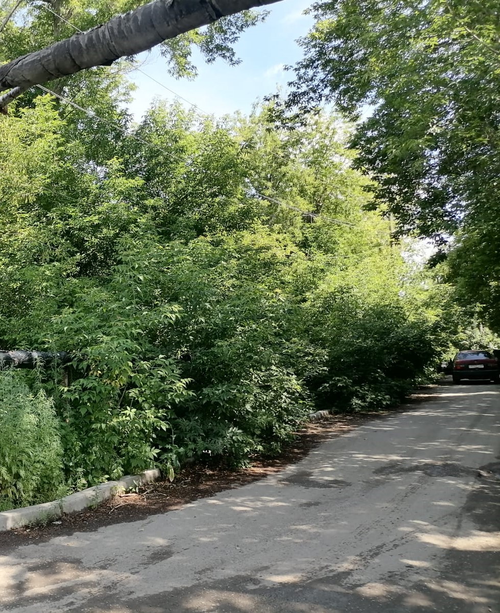 img-3