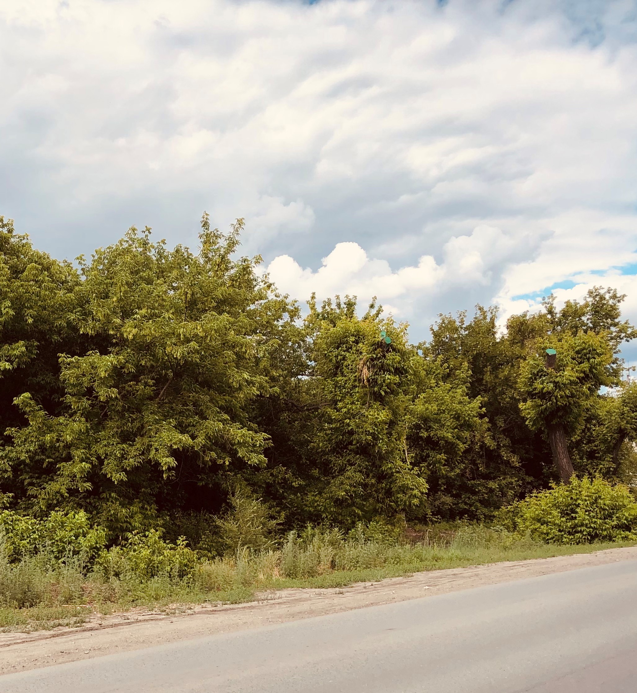 img-1