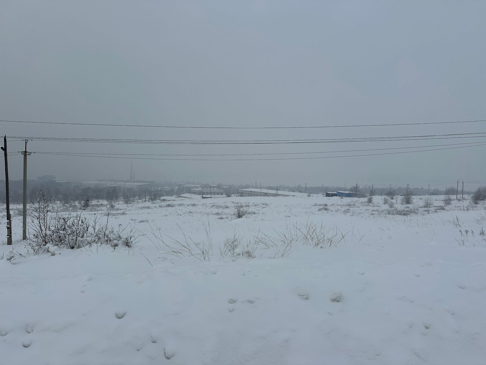 img-1