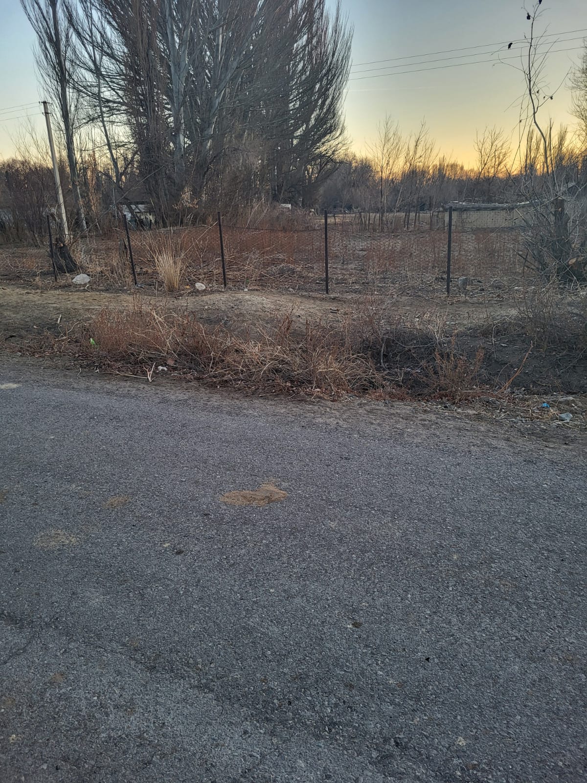 img-0