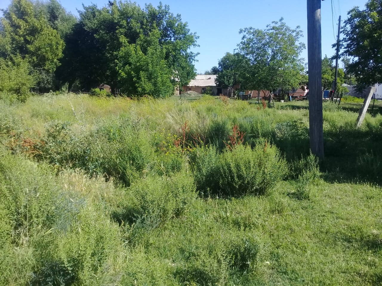 img-2