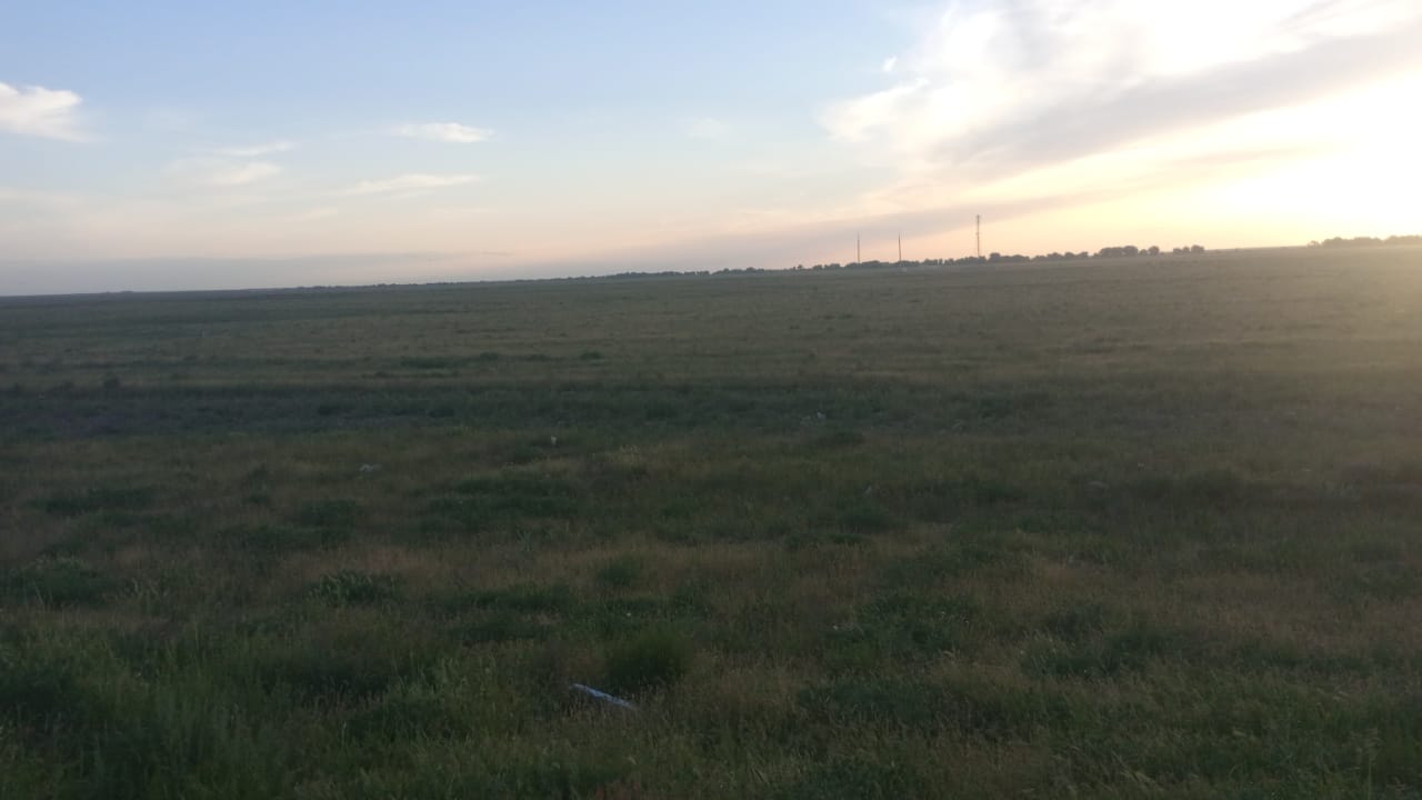 img-2