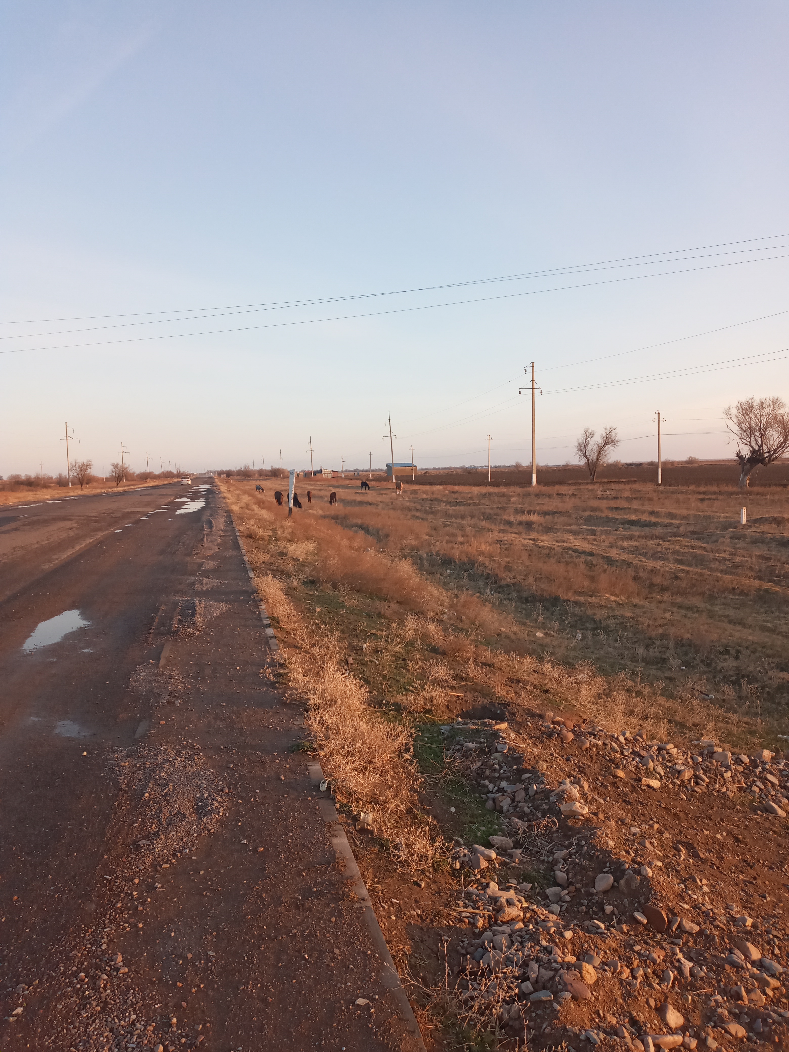 img-2
