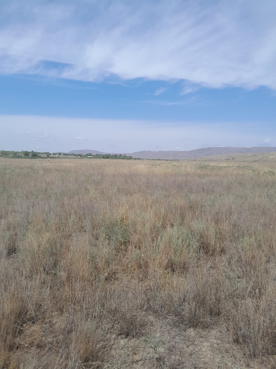 img-0