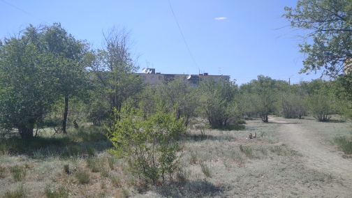 img-4