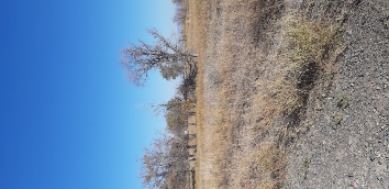img-2