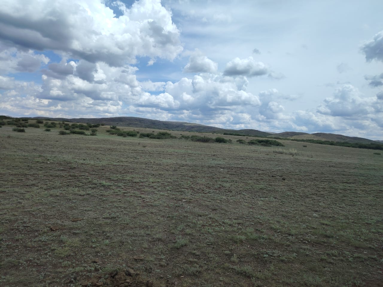 img-4