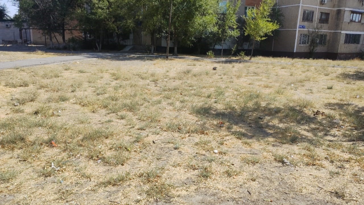 img-2