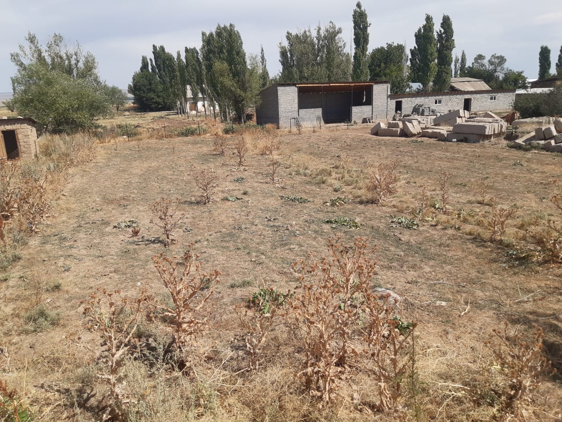 img-1
