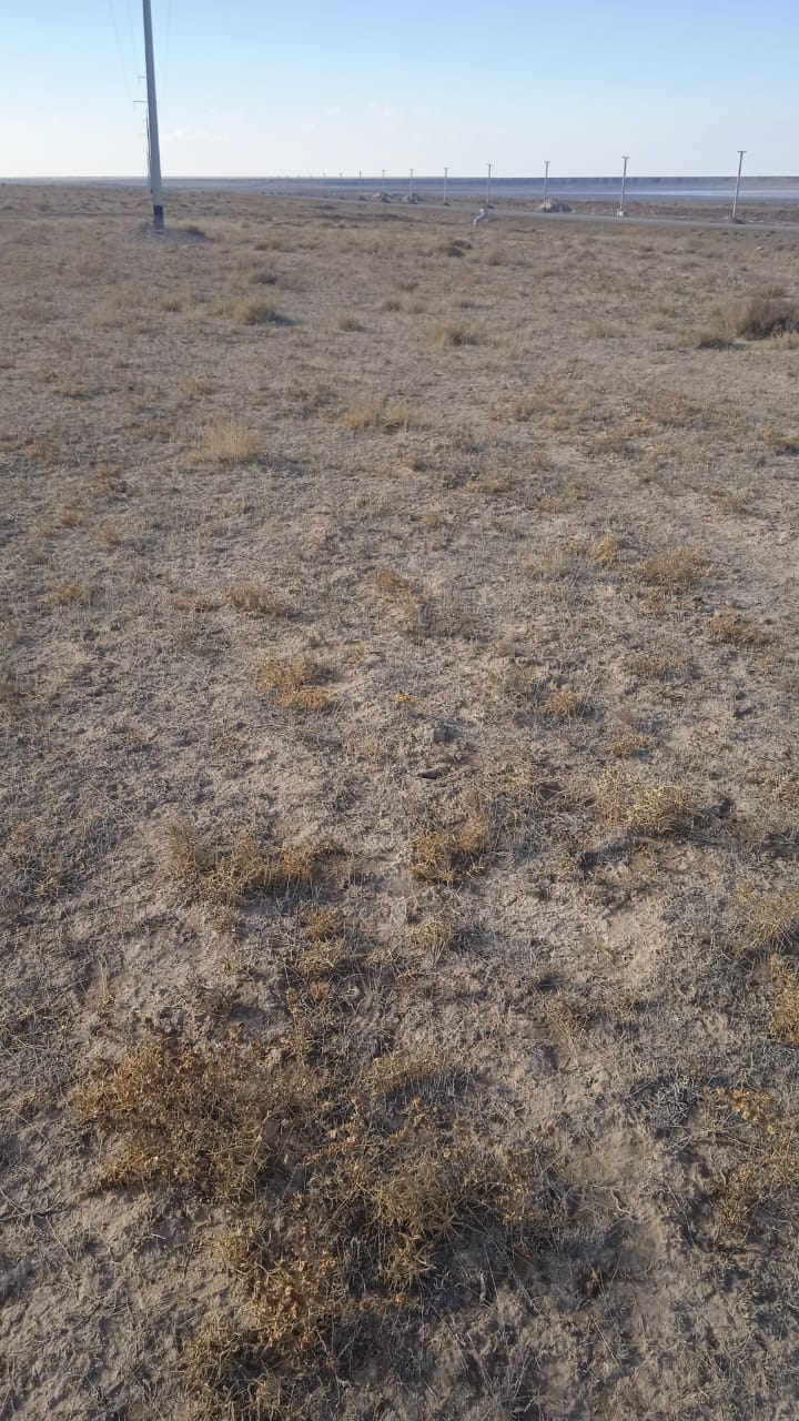 img-3