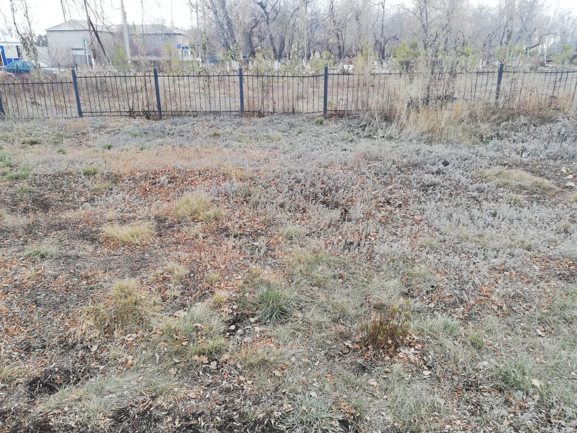 img-2
