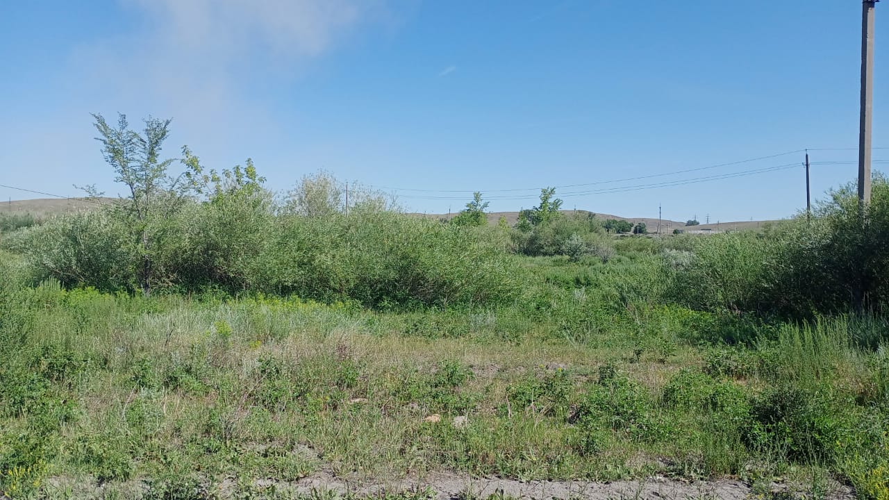 img-4