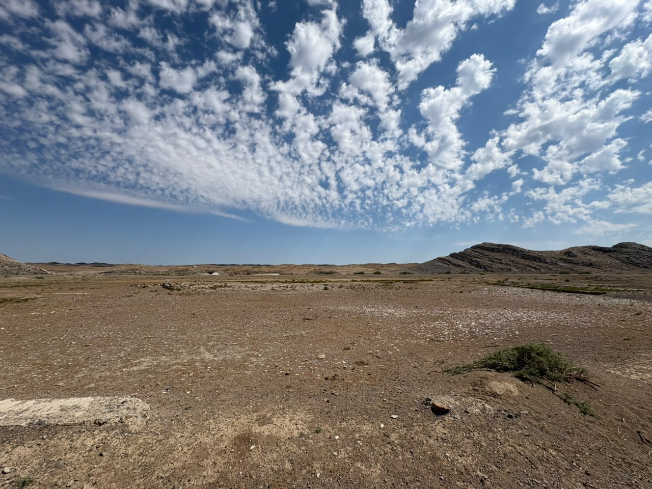img-3