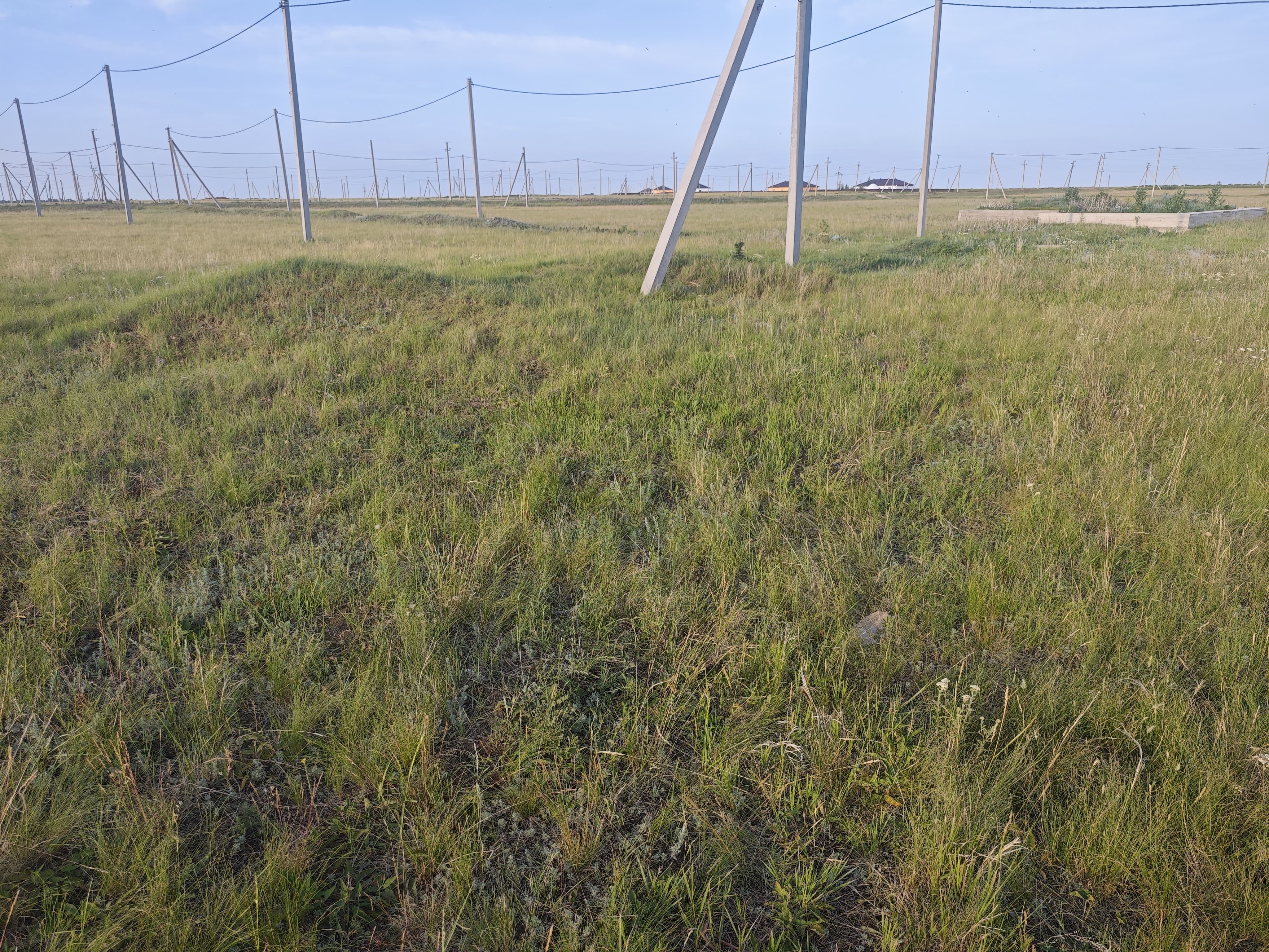 img-4